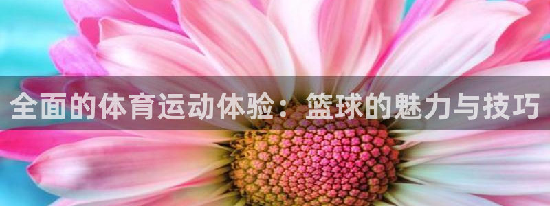好博体育吧