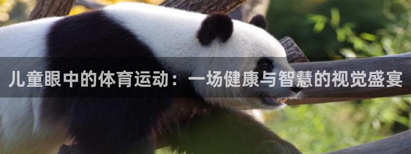 好博体育是正规的吗安全吗